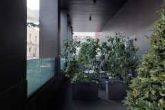 IMG-20231207-WA0025